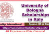 University of Bologna Scholarships 2023-24 in Italy For [Fully Funded]