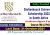 Stellenbosch University Turning The Tide Scholarship 2022 in South Africa