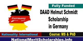 DAAD Helmut Schmidt Scholarship 2023 in Germany [Fully Funded]