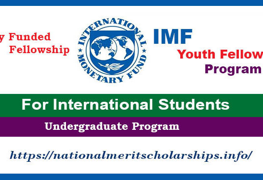 IMF Youth Fellowship Program 2023-24 | Free Study In USA [Fully Funded]