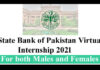 State Bank of Pakistan Virtual Internship 2021