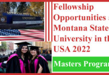 Fellowship Opportunities at Montana State University in the USA 2022