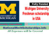 Michigan University Freshman scholarships 2022 in USA