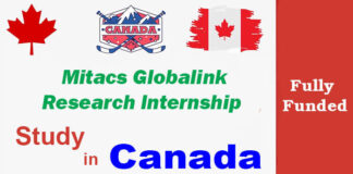 Mitacs Globalink Research Internship 2023 in Canada [Fully Funded]