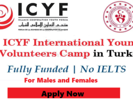 ICFY International Volunteer Camp 2022 In Antayala Turkey