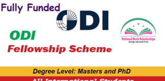 ODI Fellowship Scheme 2023-2025 | Overseas Development Institute Scheme