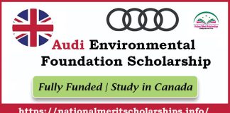Audi Environmental Foundation Scholarship 2024 [Fully Funded] | OYW Summit